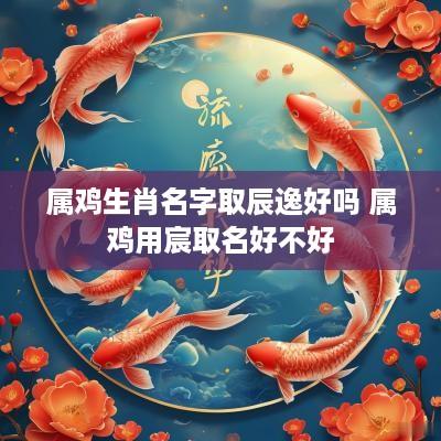 属鸡生肖名字取辰逸好吗 属鸡用宸取名好不好