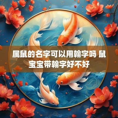 属鼠的名字可以用翰字吗 鼠宝宝带翰字好不好