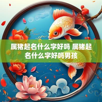 属猪起名什么字好吗 属猪起名什么字好吗男孩