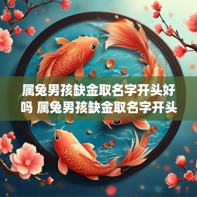 属兔男孩缺金取名字开头好吗 属兔男孩缺金取名字开头好吗