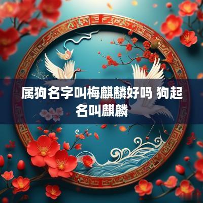 属狗名字叫梅麒麟好吗 狗起名叫麒麟