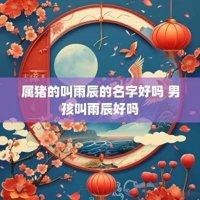 属猪的叫雨辰的名字好吗 男孩叫雨辰好吗