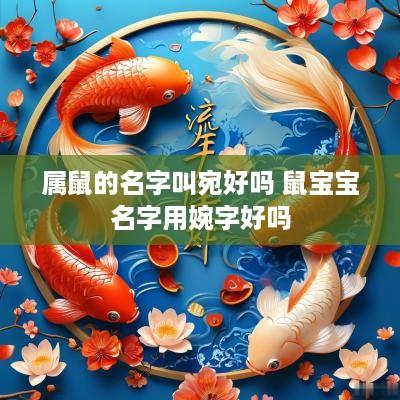 属鼠的名字叫宛好吗 鼠宝宝名字用婉字好吗