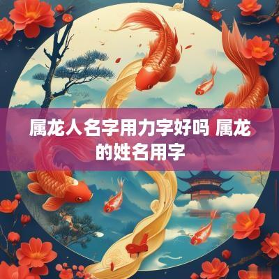 属龙人名字用力字好吗 属龙的姓名用字