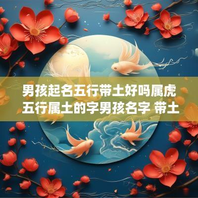 男孩起名五行带土好吗属虎 五行属土的字男孩名字 带土