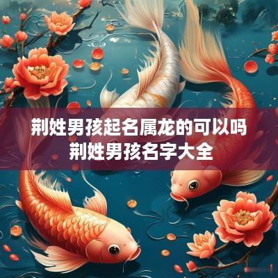 荆姓男孩起名属龙的可以吗 荆姓男孩名字大全