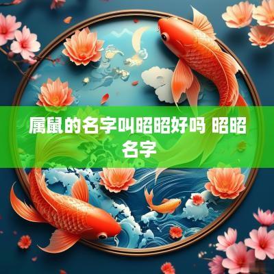 属鼠的名字叫昭昭好吗 昭昭 名字