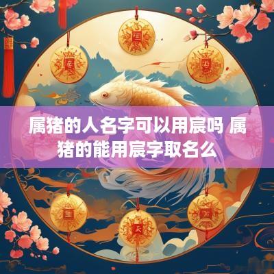 属猪的人名字可以用宸吗 属猪的能用宸字取名么