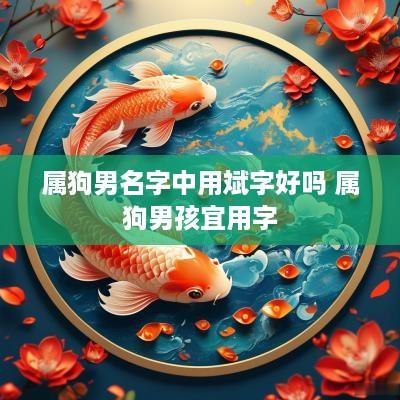 属狗男名字中用斌字好吗 属狗男孩宜用字