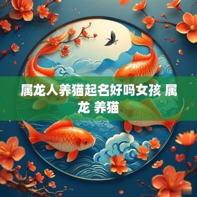 属龙人养猫起名好吗女孩 属龙 养猫
