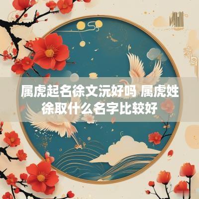 属虎起名徐文沅好吗 属虎姓徐取什么名字比较好