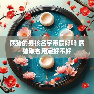 属猪的男孩名字带辰好吗 属猪取名用宸好不好