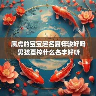 属虎的宝宝起名夏梓骏好吗 男孩夏梓什么名字好听