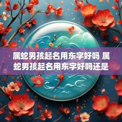 属蛇男孩起名用东字好吗 属蛇男孩起名用东字好吗还是西字