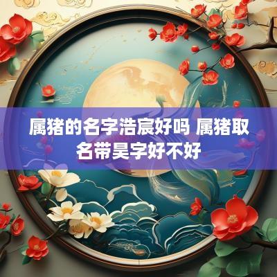 属猪的名字浩宸好吗 属猪取名带昊字好不好