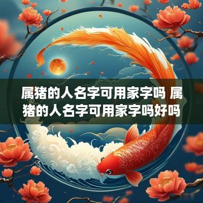 属猪的人名字可用家字吗 属猪的人名字可用家字吗好吗