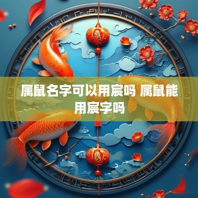 属鼠名字可以用宸吗 属鼠能用宸字吗