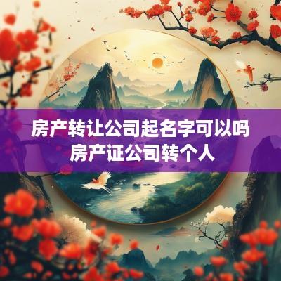 房产转让公司起名字可以吗 房产证公司转个人
