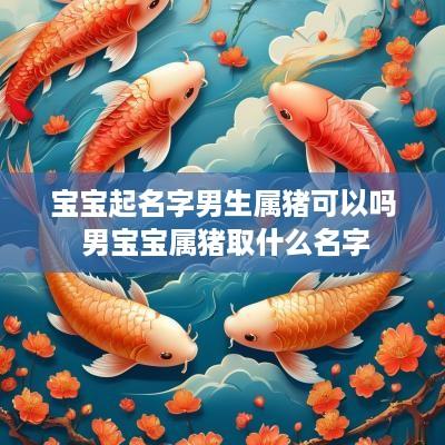 宝宝起名字男生属猪可以吗 男宝宝属猪取什么名字