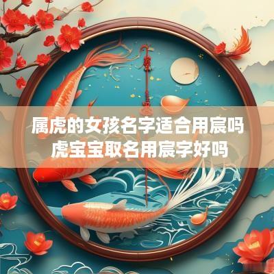 属虎的女孩名字适合用宸吗 虎宝宝取名用宸字好吗