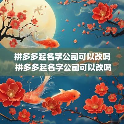 拼多多起名字公司可以改吗 拼多多起名字公司可以改吗怎么改
