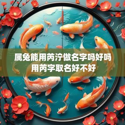 属兔能用芮泞做名字吗好吗 用芮字取名好不好