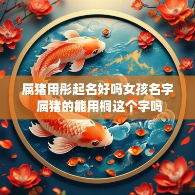 属猪用彤起名好吗女孩名字 属猪的能用桐这个字吗