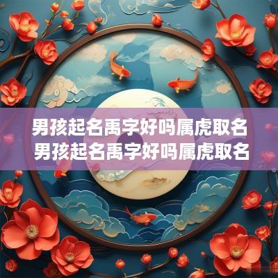 男孩起名禹字好吗属虎取名 男孩起名禹字好吗属虎取名字