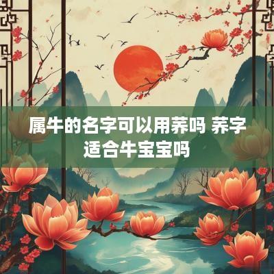 属牛的名字可以用荞吗 荞字适合牛宝宝吗