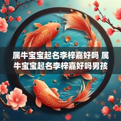 属牛宝宝起名李梓嘉好吗 属牛宝宝起名李梓嘉好吗男孩