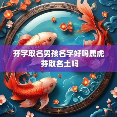 芬字取名男孩名字好吗属虎 芬取名土吗
