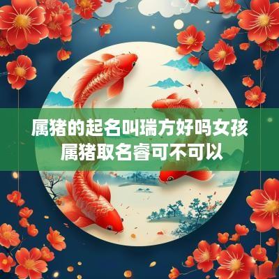 属猪的起名叫瑞方好吗女孩 属猪取名睿可不可以