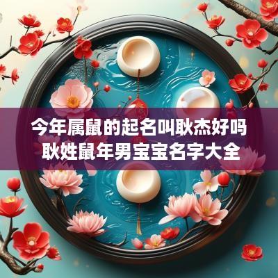 今年属鼠的起名叫耿杰好吗 耿姓蛇年男宝宝名字大全
