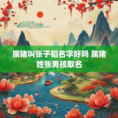 属猪叫张子韬名字好吗 属猪姓张男孩取名