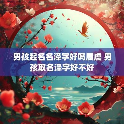 男孩起名名泽字好吗属虎 男孩取名泽字好不好