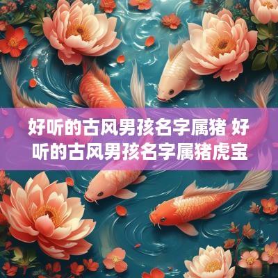 好听的古风男孩名字属猪 好听的古风男孩名字属猪虎宝宝