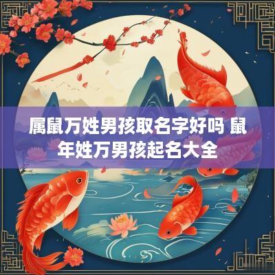 属鼠万姓男孩取名字好吗 蛇年姓万男孩起名大全