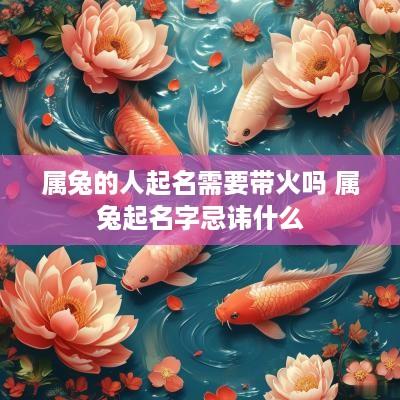 属兔的人起名需要带火吗 属兔起名字忌讳什么