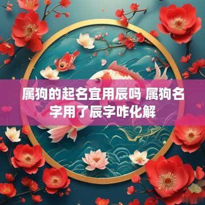 属狗的起名宜用辰吗 属狗名字用了辰字咋化解