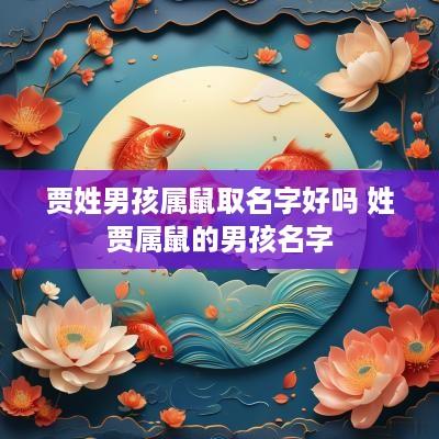 贾姓男孩属鼠取名字好吗 姓贾属鼠的男孩名字