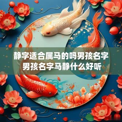 静字适合属马的吗男孩名字 男孩名字马静什么好听