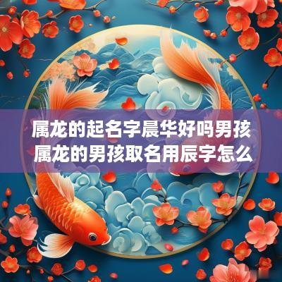 属龙的起名字晨华好吗男孩 属龙的男孩取名用辰字怎么样