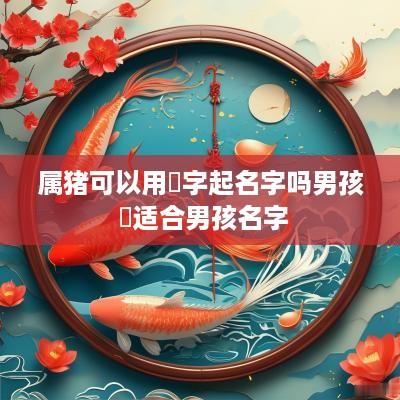 属猪可以用堃字起名字吗男孩 堃适合男孩名字