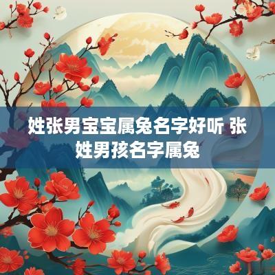 姓张男宝宝属兔名字好听 张姓男孩名字属兔