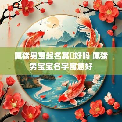属猪男宝起名其燊好吗 属猪男宝宝名字寓意好