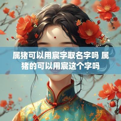 属猪可以用宸字取名字吗 属猪的可以用宸这个字吗