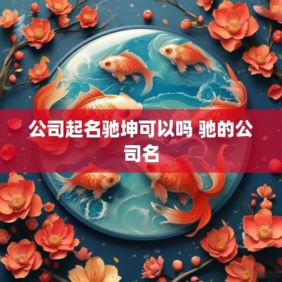 公司起名驰坤可以吗 驰的公司名