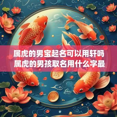 属虎的男宝起名可以用轩吗 属虎的男孩取名用什么字最好