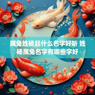 属兔姓杨起什么名字好听 姓杨属兔名字有哪些字好
