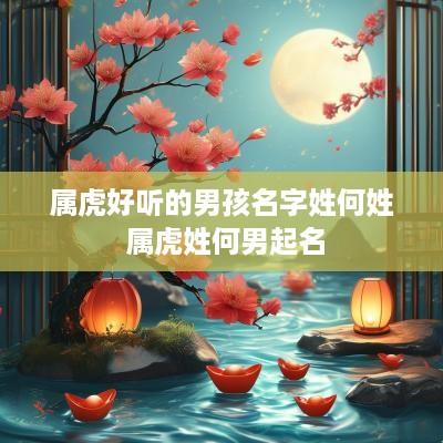 属虎好听的男孩名字姓何姓 属虎姓何男起名